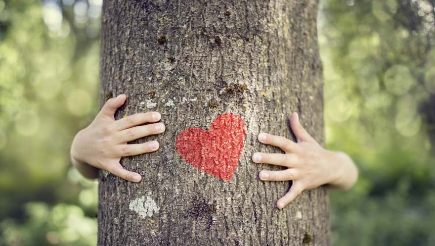 Consumers Require Energy Efficiency And Environmental Sustainability In CRE PRC Consumers Request CRE Energy Efficiency and Environmental Sustainability